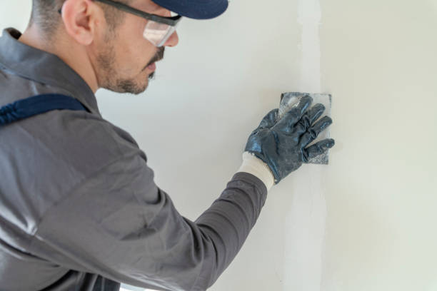 Best Fire-Damaged Drywall Repair  in USA